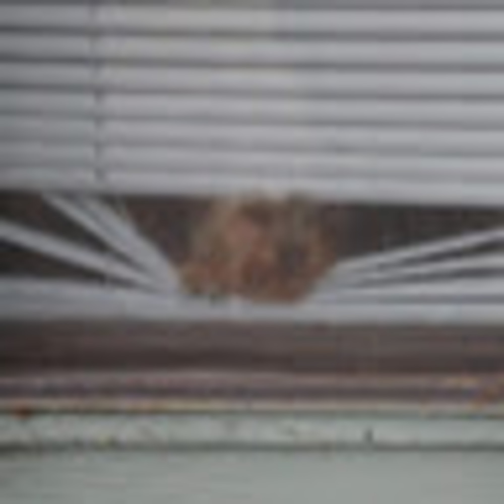 Meet your Posher, Ale